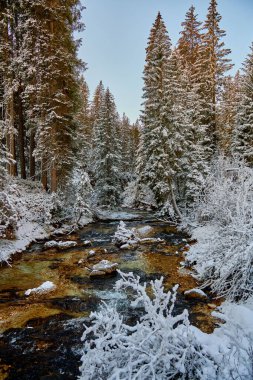 Sonbahar döneminde Madonna di Campiglio 'da Güzel Şelale Vallesinella, Ulusal Park Adamello-Brenta, Trentino, İtalya Dolomitleri