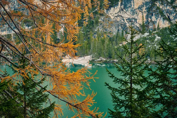 Magnifique Lac Braies Fin Automne Avec Peu Neige Pearl Dolomite — Photo