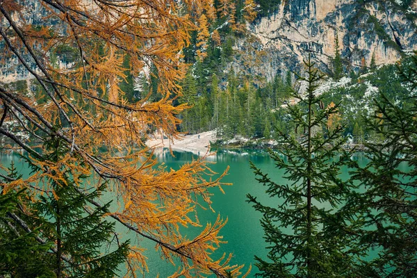 Bellissimo Lago Braies Fine Autunno Con Neve Perla Dei Laghi — Foto Stock