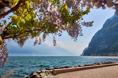 Garda Gölü 'nün güzel manzarası dağlarla çevrili, Riva del Garda ve Garda Gölü ilkbahar zamanı, Trentino Alto Adige bölgesi