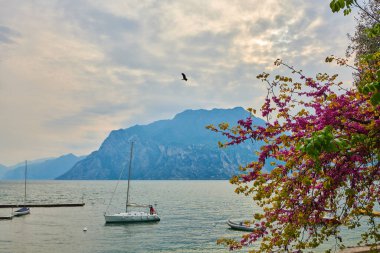 İlkbaharda güzel Garda Gölü manzarası, Torbole şehri Trentino alto Adige bölgesinde dağlarla çevrili, İtalya
