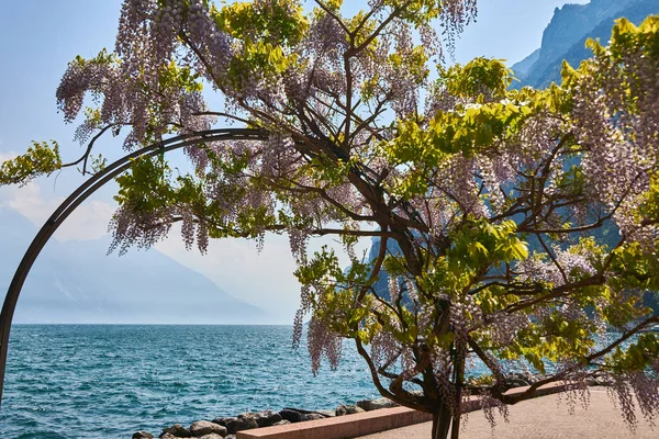 Vista Del Hermoso Lago Garda Rodeado Montañas Riva Del Garda —  Fotos de Stock