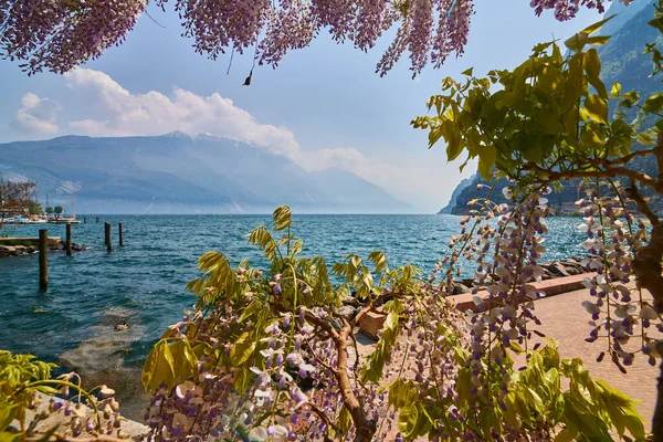 Vista Del Hermoso Lago Garda Rodeado Montañas Riva Del Garda —  Fotos de Stock