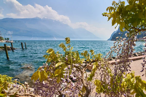 Pohled Krásné Jezero Garda Obklopen Horami Riva Del Garda Jezero — Stock fotografie