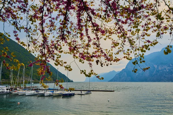 Pohled Krásné Jezero Garda Jaře Torbole Město Obklopen Horami Regionu — Stock fotografie