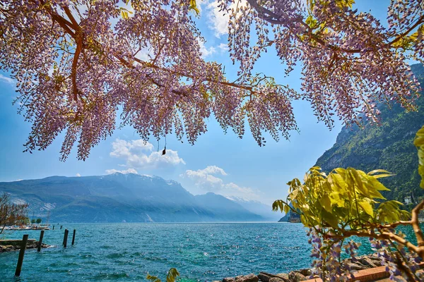 Vista Del Hermoso Lago Garda Primavera Lago Garda Rodeado Montañas — Foto de Stock
