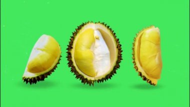 Yeşil arkaplanda Durian Set. 