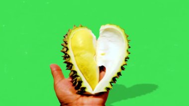 Yeşil arkaplanda Durian 'ı kapat. 