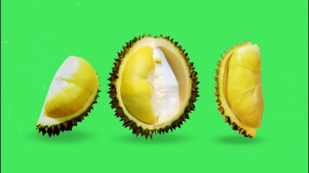 Durian Állítsa Zöld Háttér — Stock videók