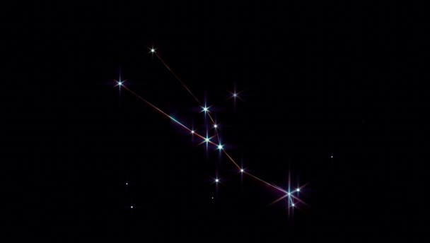 Touro Realista Das Constelações Zodíaco — Vídeo de Stock