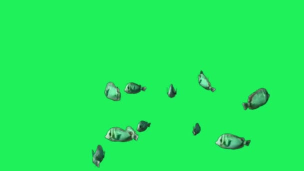 Animação Peixe Desenhos Animados Verde Fundo Verde — Vídeo de Stock