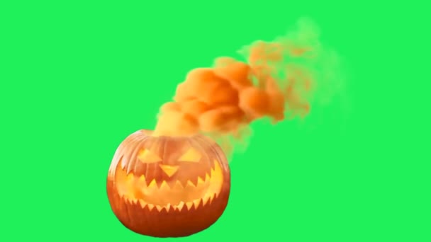 Animatie Oranje Pompoen Groene Achtergrond — Stockvideo