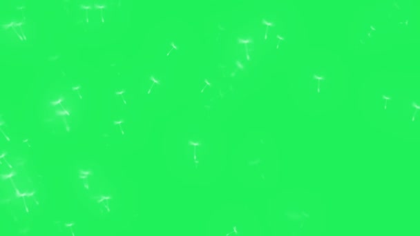 Realistisk Vit Snö Faller Grön Bakgrund — Stockvideo