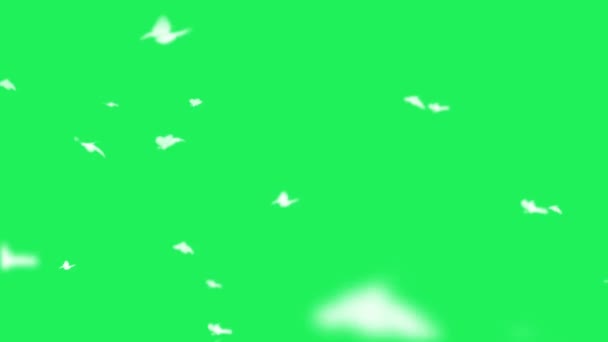 Animasyon Beyaz Kelebekler Yeşil Arka Planda Uçuyor — Stok video