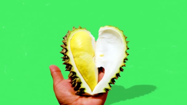 Κοντινό Πλάνο Durian Ορισμός Πράσινο Φόντο — Αρχείο Βίντεο