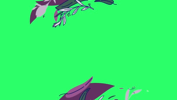 Marco Animación Concepto Flor Con Espacio Verde — Vídeo de stock