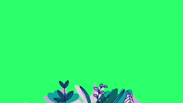 Cadre Photo Animation Concept Fleur Avec Espace Vert — Video