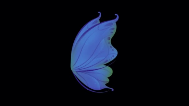 Animation Blue Butterfly Wing Fantasy Style Black Background — Stock Video