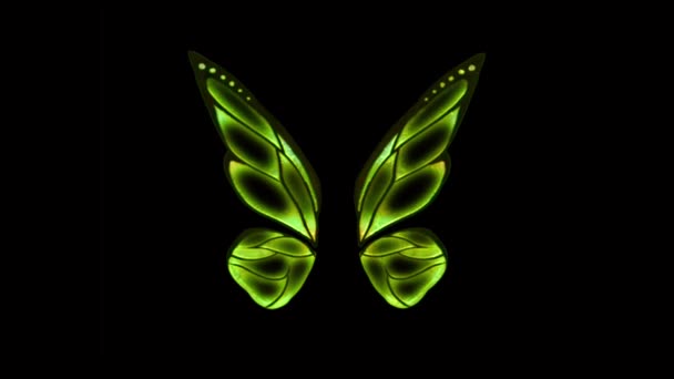 Animación Verde Mariposa Ala Estilo Fantasía Sobre Fondo Negro — Vídeo de stock