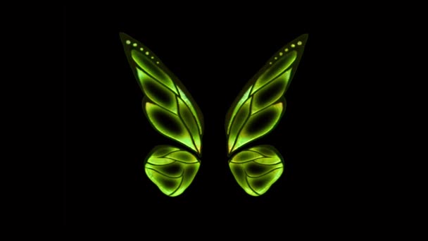 Animation Green Butterfly Wing Fantasy Style Black Background — Stock Video