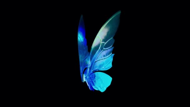 Animation Blue Butterfly Wing Fantasy Style Black Background — Stock Video