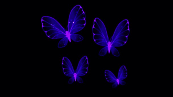 Animación Ala Mariposa Azul Sobre Fondo Negro — Vídeo de stock