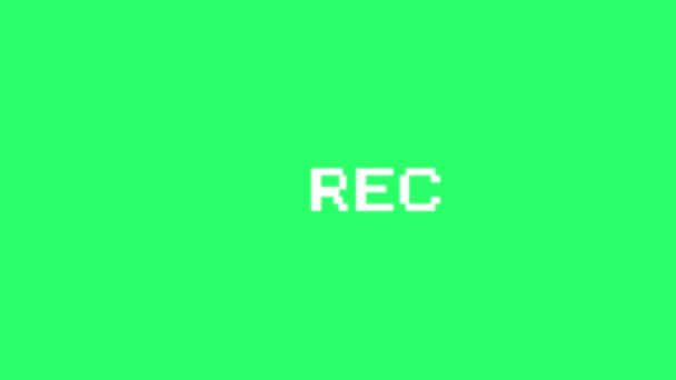 Animation Weißer Text Rec Auf Grünem Hintergrund — Stockvideo