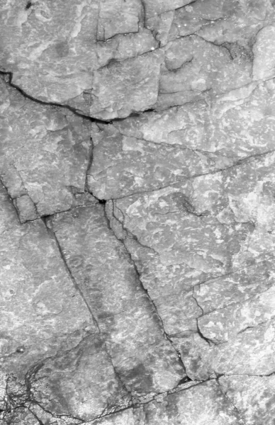 抽象的な岩のテクスチャ — ストック写真