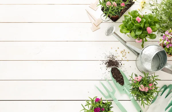 Spring - gardening tools and flowers in pots on white wood — Stock Photo, Image