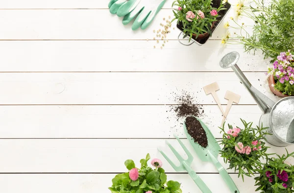 Primavera - herramientas de jardinería y flores en macetas en madera blanca — Foto de Stock