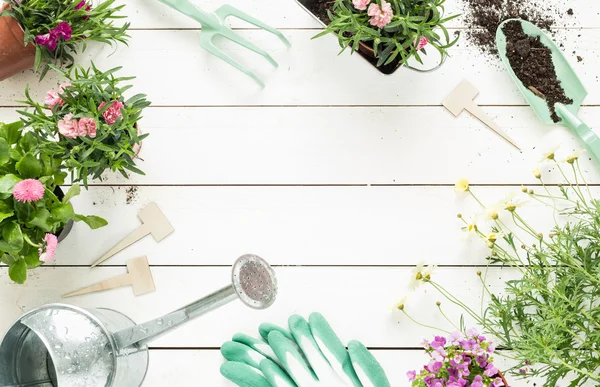 Primavera - ferramentas de jardinagem e flores em vasos em madeira branca — Fotografia de Stock