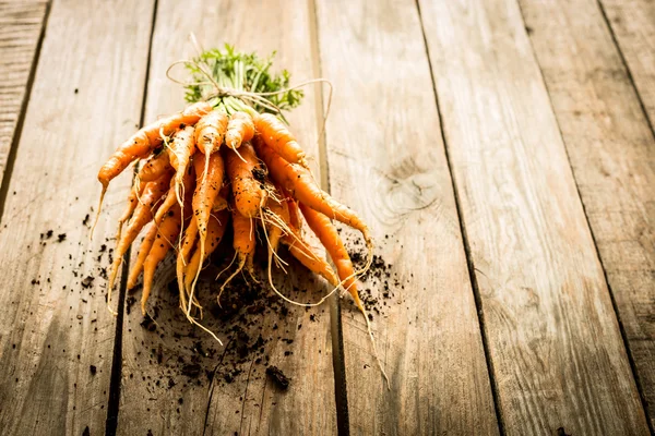 Bunch of young or baby carrots on vintage rustic wooden table — Stock Photo, Image