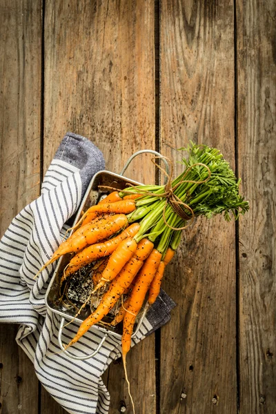 Bunch of young or baby carrots on wooden rural kitchen table — Stock Photo, Image