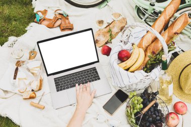 Laptop bilgisayar ve Fransız tarzı açık hava pikniği beyaz battaniyenin üzerinde. Baget, şarap, meyve ve peynirli hasır sepet. Pastel yeşili bisiklet arka planda. Yaz tatili - yaşam tarzı.