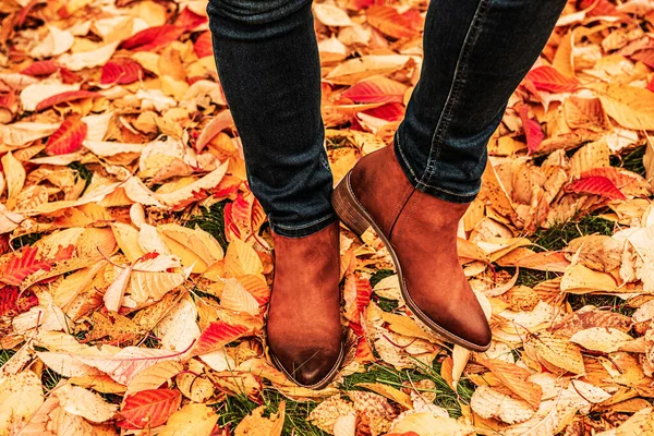 Vrouwen Benen Bruin Lederen Enkellaarsjes Donkerblauwe Jeans Outdoor Kleurrijke Herfst — Stockfoto