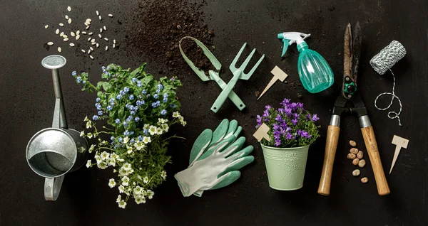 Gardening tools, pot flowers and watering can on the black banner background. Spring garden works. Gardeners equipment set captured from above (top view, flat lay).