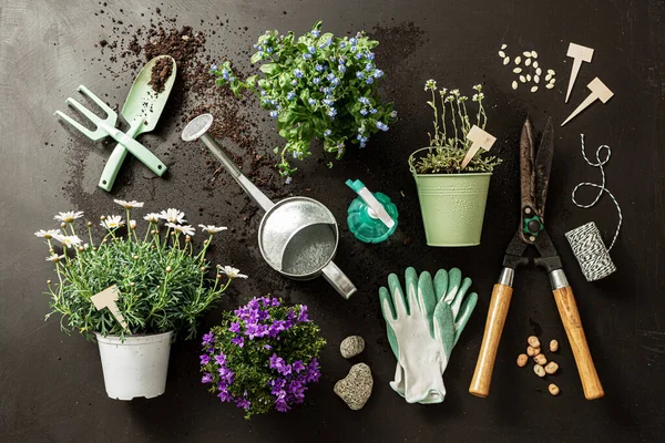 Pot Flowers Gardening Tools Watering Can Black Background Spring Garden — Stock Photo, Image