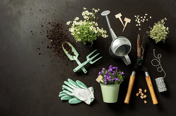 Pot Flowers Gardening Tools Watering Can Black Background Spring Garden — Stock Photo, Image