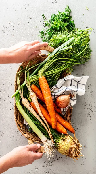 Raw Root Vegetables Carrot Parsnip Celeriac Leek Basket Fresh Harvest — Stock Photo, Image