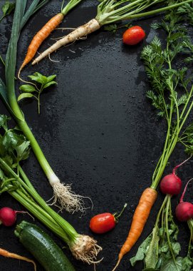 Young spring vegetables on black chalkboard