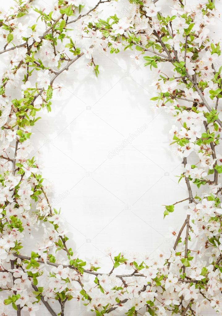 Blooming tree branches as round frame on white