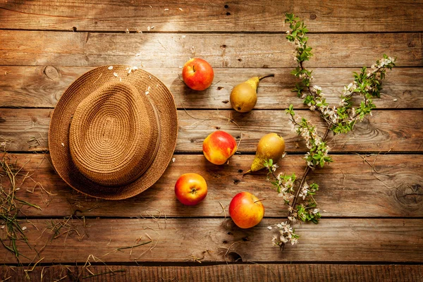 Chapéu de jardinagem, maçãs, peras, feno e ramo de árvore florescente em — Fotografia de Stock