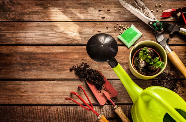 Tuingereedschap, gieter, zaden, planten en bodem — Stockfoto