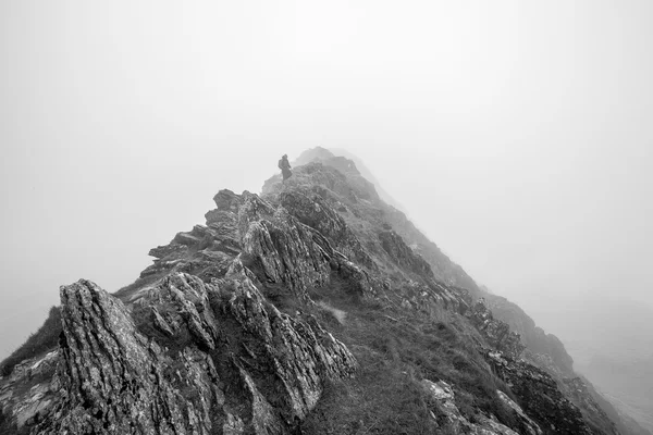 Doppelbelichtung abstrakte Landschaft Hintergrund — Stockfoto