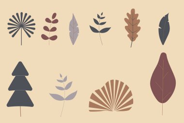 Yumuşak renklerde el yapımı fantezi yaprakları. Soyut şirin tasarım elementlerinin sanat koleksiyonu. Raster illüstrasyonu