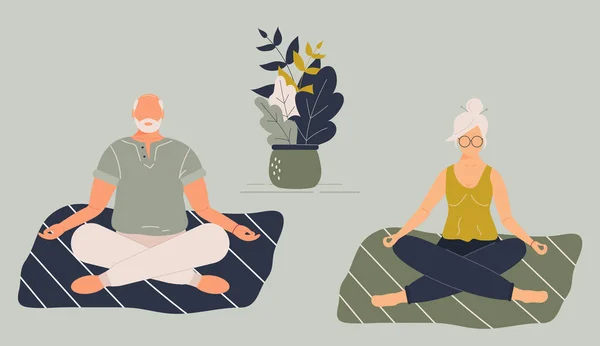 Äldre Rolig Kvinna Och Man Yoga Lotus Position Gör Meditation — Stock vektor