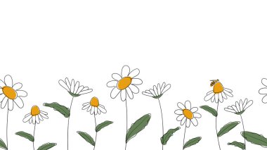 Papatyaların kusursuz kenarları, basitleştirilmiş çocuk karikatürleriyle bembeyaz arka planda çizilmiş. Çiçeklerin üzerinde oturan şirin arı. İlkbahar veya yaz için web sitesi, dükkan tasarımı için.
