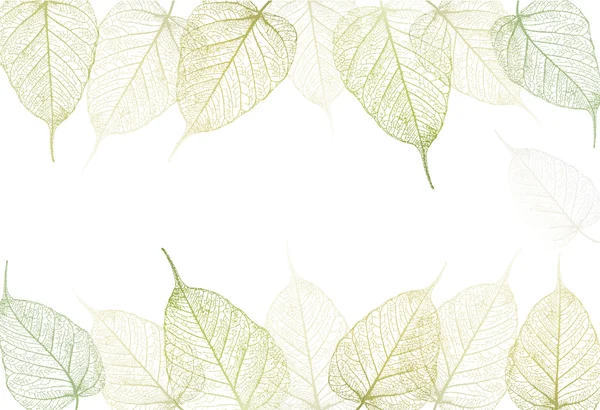 Свіже зелене листя фону. Векторні — стоковий вектор