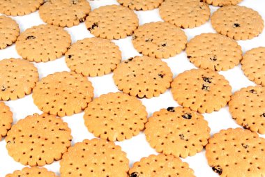 beyaz zemin üzerine bisküvi