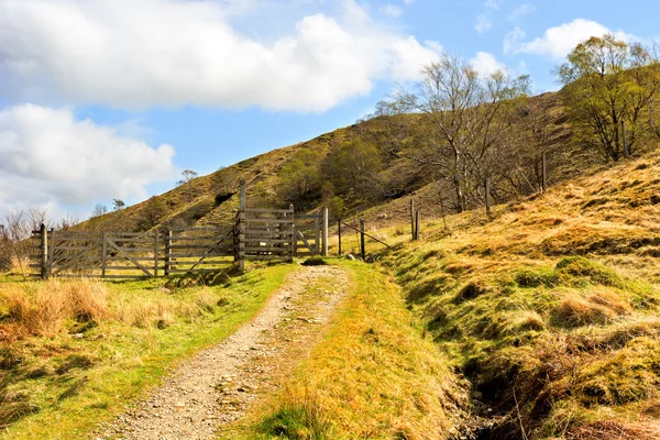 Landschap uitzicht over schapen poort en weg in landbouwgrond. West Highla — Stockfoto